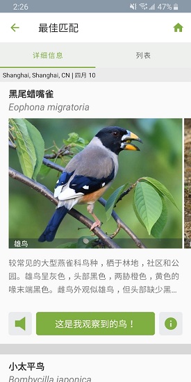 merlin官方版下載