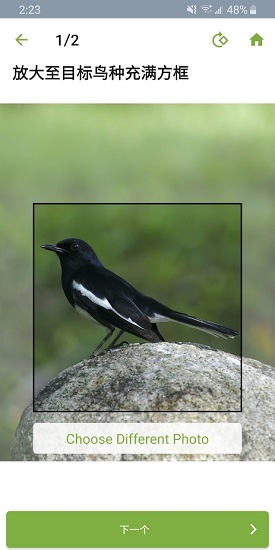 merlin鳥類照片識(shí)別 v2.0.2 蘋果版 2