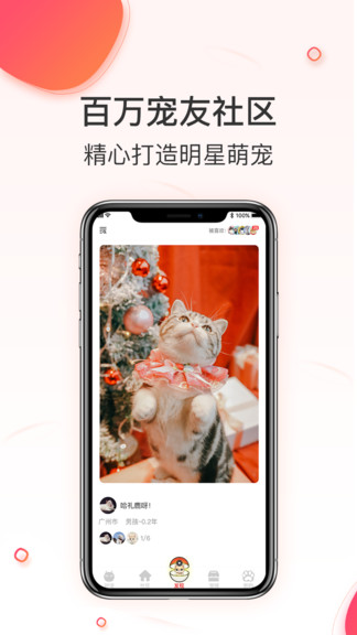 相寵最新版 v1.0.7 安卓版 1