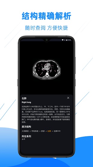 醫(yī)學(xué)影像解剖圖譜 v4.2.0 安卓版 0