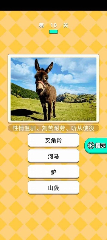 動物研究院手游下載 動物研究院游戲下載