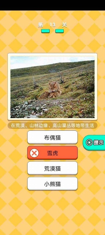 動物研究院游戲 v1.3 安卓版 2