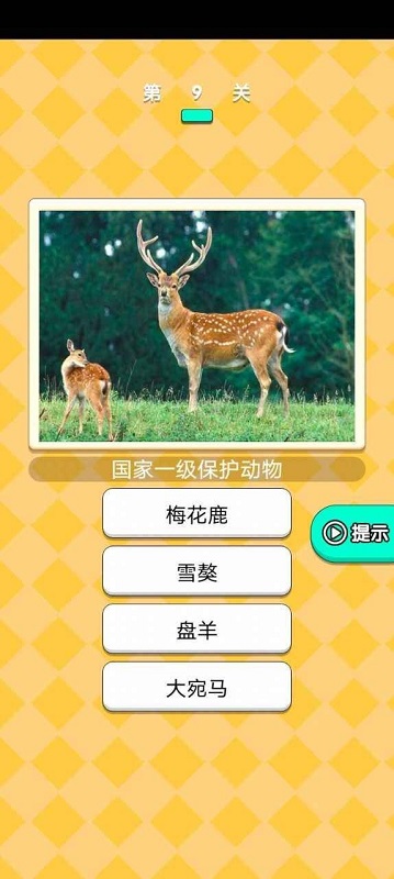 動物研究院游戲 v1.3 安卓版 3