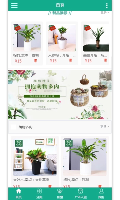 花卉綠植0