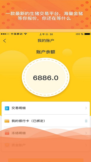 金豬島 金豬島app