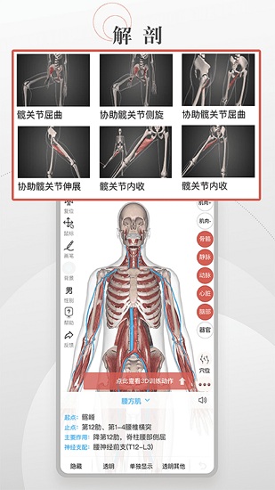 3d運(yùn)動(dòng)健康app v1.0.1 安卓版 2