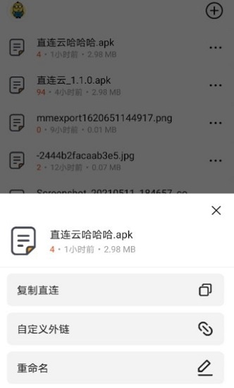 直連云網(wǎng)盤 v1.1.2 安卓版 2