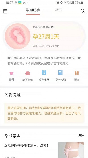 蝶窩孕育正版