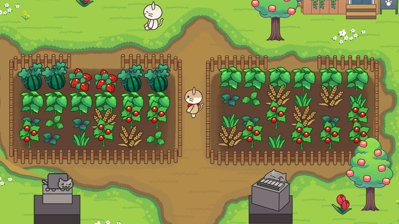 貓森林 v1.8.1 安卓版 1