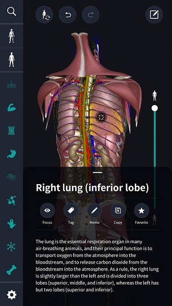 teamlabbody apk 2020 v1.1.4 安卓版 3