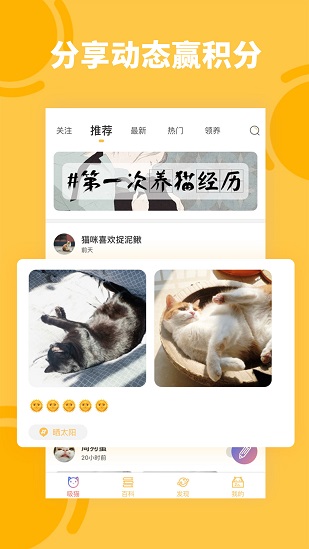 萌翻貓語翻譯器手機(jī)版