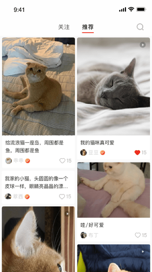 寵年年官方版 v1.0 安卓版 0