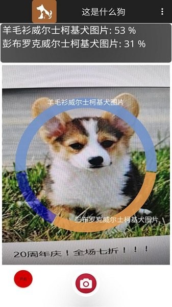 這是什么狗拍照識(shí)別軟件 v1.0.1 最新版 0
