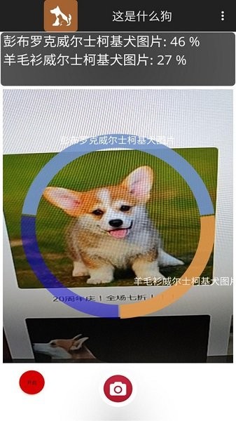 這是什么狗拍照識(shí)別軟件 v1.0.1 最新版 3