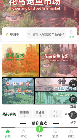 花木森林最新版1