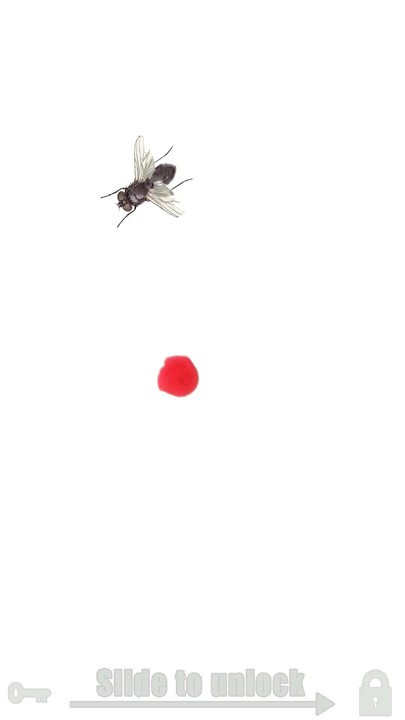 動物模擬器手機版 v2.8 安卓版 3