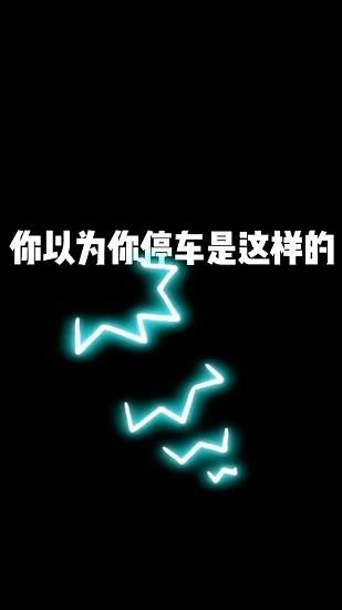 側(cè)方位停車游戲 v3.0.2.001 安卓版 0