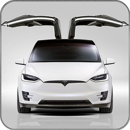 特斯拉電力車2021