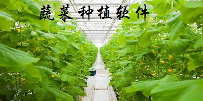 蔬菜種植app哪個(gè)好?蔬菜種植軟件下載-種植蔬菜的app