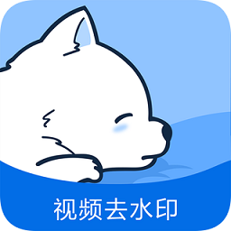 視頻去水印專家