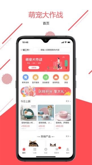 寵傳奇app