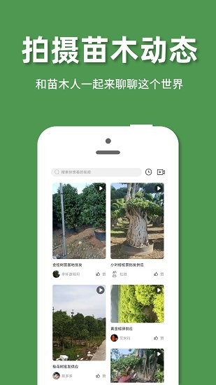 好苗木官方版0