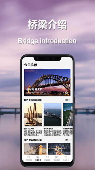 搭橋小專家 v1.1 安卓版 0