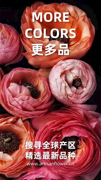 匠人花材最新版 v5.3.83 安卓版 0