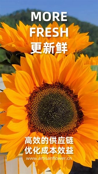 匠人花材最新版 v5.3.83 安卓版 2