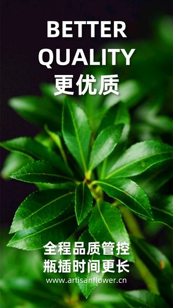 匠人花材最新版 v5.3.83 安卓版 1