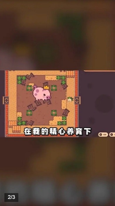 悠閑農(nóng)場(chǎng)手游 v1.1.10 安卓版 0