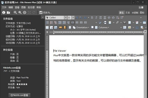 file viewer plus電腦版