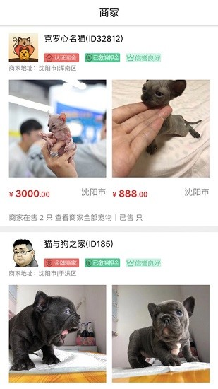 貓行狗市app下載