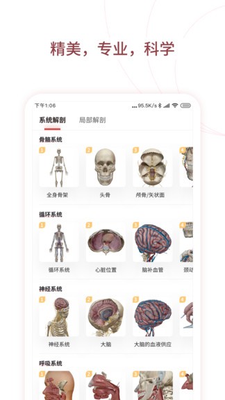 人體解剖3d中文版(口袋人體解剖) v3.0.0 安卓版 0