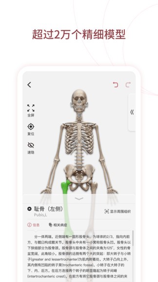 人體解剖3d中文版(口袋人體解剖) v3.0.0 安卓版 3