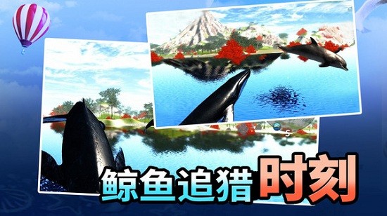 海洋動(dòng)物世界中文版 v1.0.1 安卓版 1