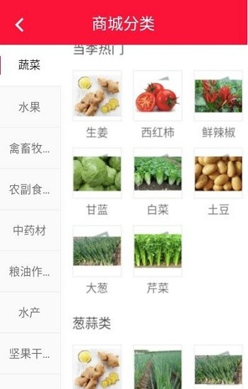 美山村官方版 v1.0.1 安卓版 0