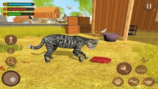 貓咪家族中文版 v1.01 安卓版 2