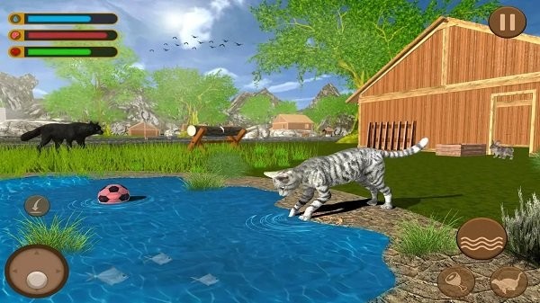 貓咪家族中文版 v1.01 安卓版 3
