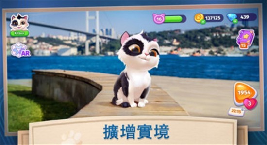 我的可愛貓咪游戲最新版 v1.0.2 安卓版 0