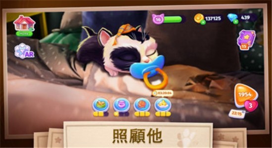 我的可愛貓咪手游下載