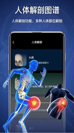 3d人體模型軟件手機版 v2.0.0 最新版 2