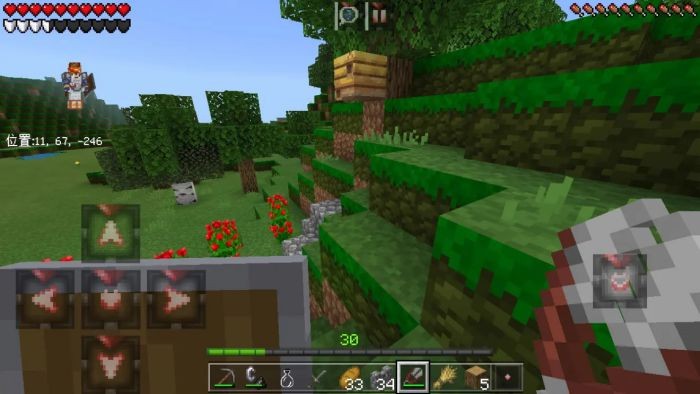 我的世界基巖版正式版 v1.16 電腦版 1