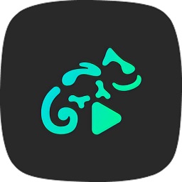 stellio player高級版
