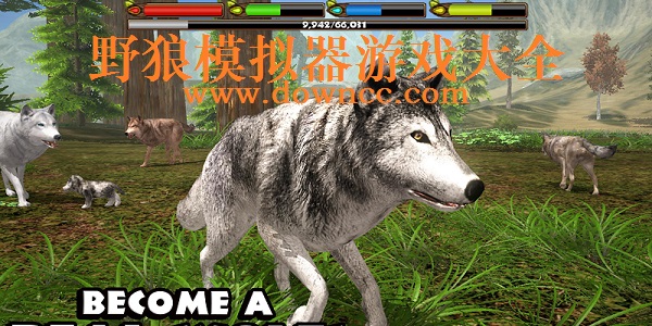 野狼模擬器