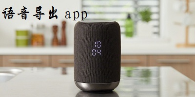 語(yǔ)音導(dǎo)出app