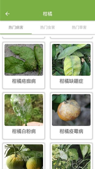 優(yōu)農(nóng)幫農(nóng)戶端 v2.0.8 安卓版 1