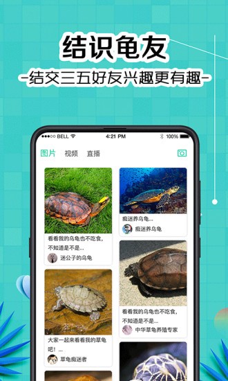 龜友圈 v3.1 安卓版 0