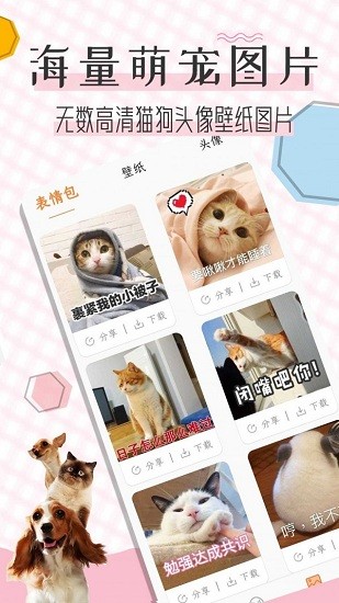貓語翻譯寶 v1.2.4 安卓版 3