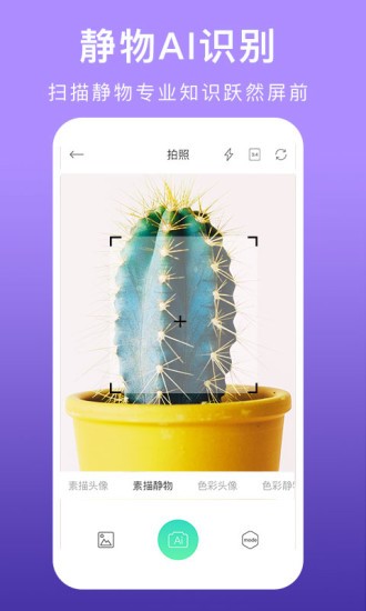美術(shù)拍 美術(shù)拍安卓版
